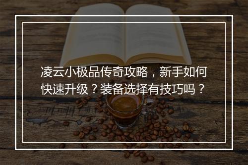 凌云小极品传奇攻略，新手如何快速升级？装备选择有技巧吗？