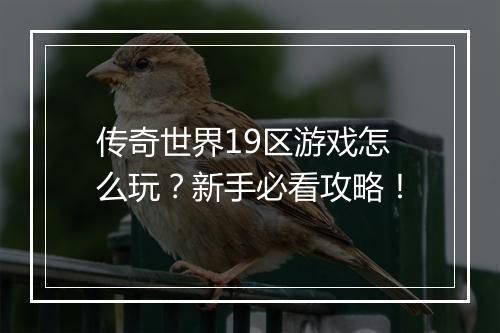 传奇世界19区游戏怎么玩？新手必看攻略！