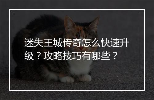 迷失王城传奇怎么快速升级？攻略技巧有哪些？