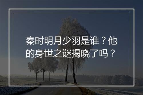 秦时明月少羽是谁？他的身世之谜揭晓了吗？