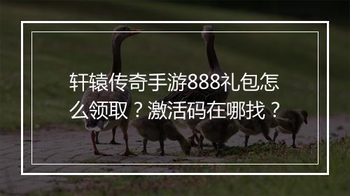 轩辕传奇手游888礼包怎么领取？激活码在哪找？