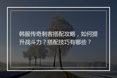 韩服传奇刺客搭配攻略，如何提升战斗力？搭配技巧有哪些？
