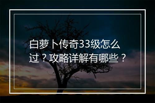 白萝卜传奇33级怎么过？攻略详解有哪些？