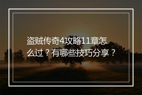盗贼传奇4攻略11章怎么过？有哪些技巧分享？