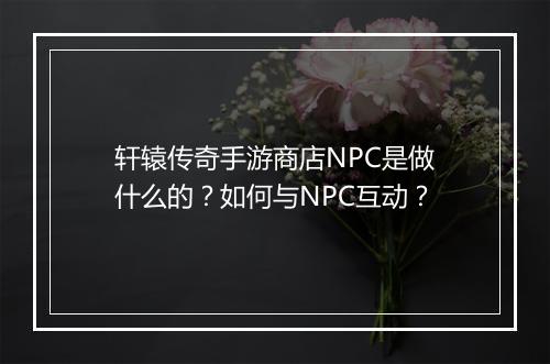轩辕传奇手游商店NPC是做什么的？如何与NPC互动？