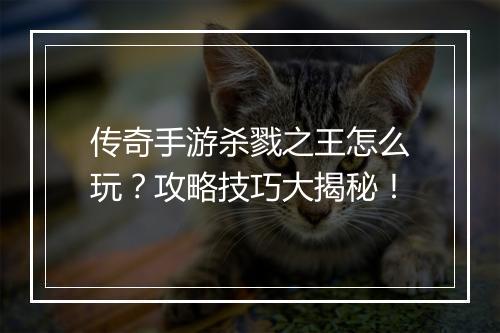 传奇手游杀戮之王怎么玩？攻略技巧大揭秘！