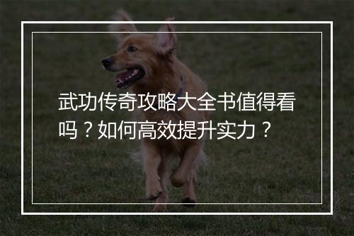 武功传奇攻略大全书值得看吗？如何高效提升实力？