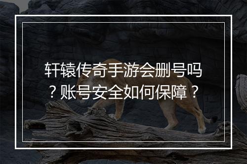 轩辕传奇手游会删号吗？账号安全如何保障？
