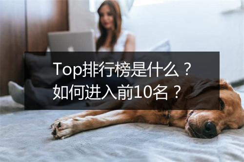 Top排行榜是什么？如何进入前10名？
