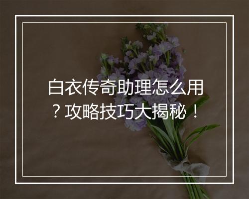 白衣传奇助理怎么用？攻略技巧大揭秘！