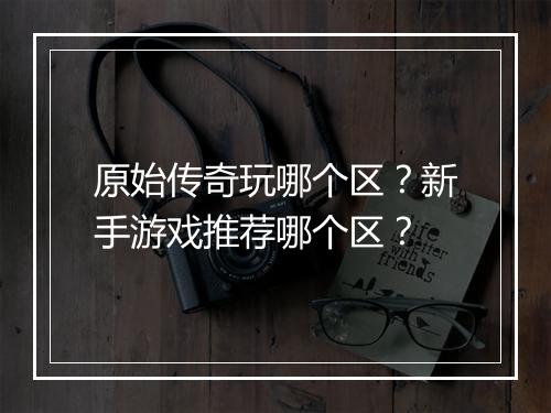 原始传奇玩哪个区？新手游戏推荐哪个区？