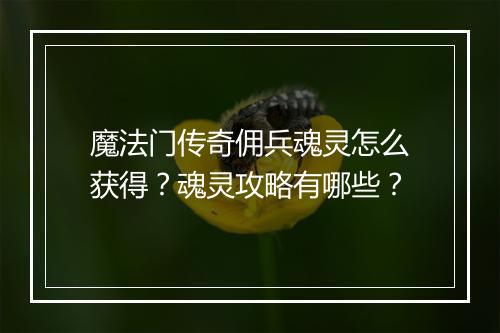 魔法门传奇佣兵魂灵怎么获得？魂灵攻略有哪些？