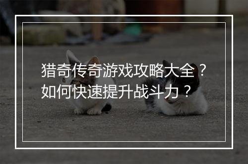 猎奇传奇游戏攻略大全？如何快速提升战斗力？