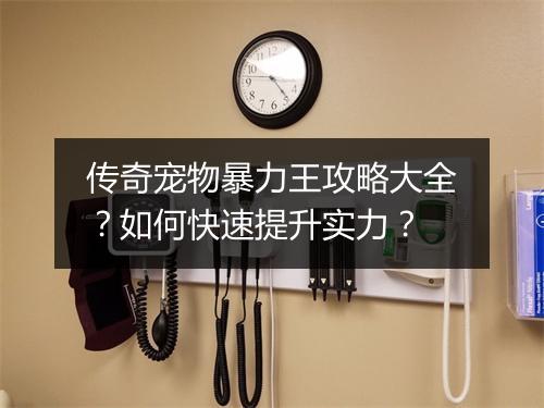 传奇宠物暴力王攻略大全？如何快速提升实力？