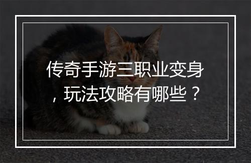 传奇手游三职业变身，玩法攻略有哪些？