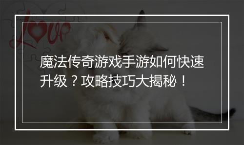 魔法传奇游戏手游如何快速升级？攻略技巧大揭秘！
