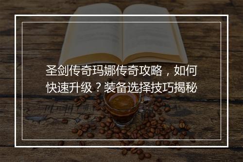 圣剑传奇玛娜传奇攻略，如何快速升级？装备选择技巧揭秘