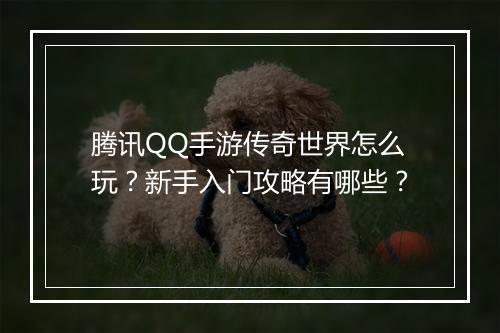 腾讯QQ手游传奇世界怎么玩？新手入门攻略有哪些？