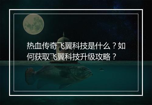 热血传奇飞翼科技是什么？如何获取飞翼科技升级攻略？