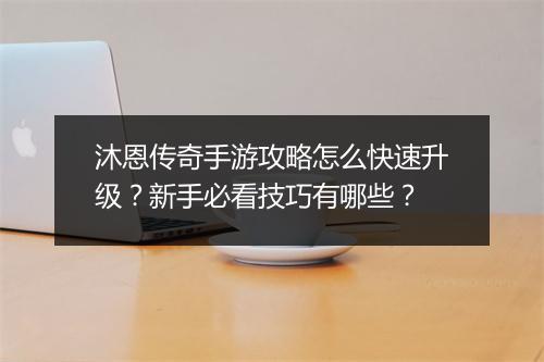 沐恩传奇手游攻略怎么快速升级？新手必看技巧有哪些？