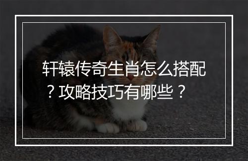 轩辕传奇生肖怎么搭配？攻略技巧有哪些？