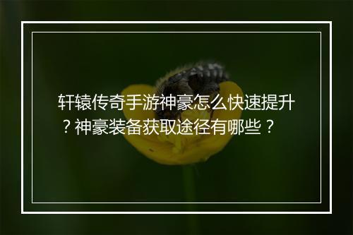 轩辕传奇手游神豪怎么快速提升？神豪装备获取途径有哪些？