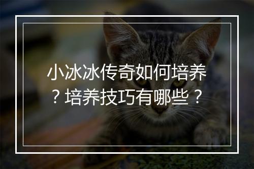 小冰冰传奇如何培养？培养技巧有哪些？