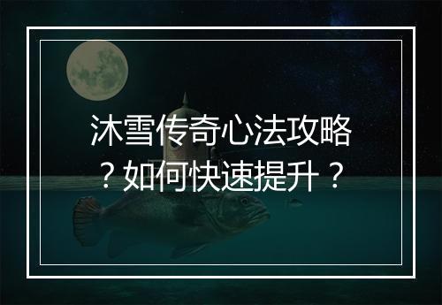 沐雪传奇心法攻略？如何快速提升？