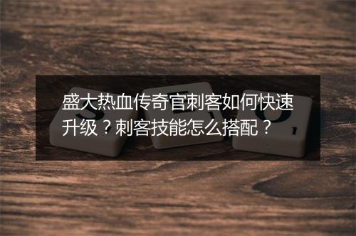 盛大热血传奇官刺客如何快速升级？刺客技能怎么搭配？