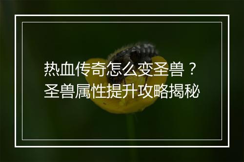 热血传奇怎么变圣兽？圣兽属性提升攻略揭秘