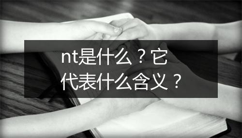 nt是什么？它代表什么含义？