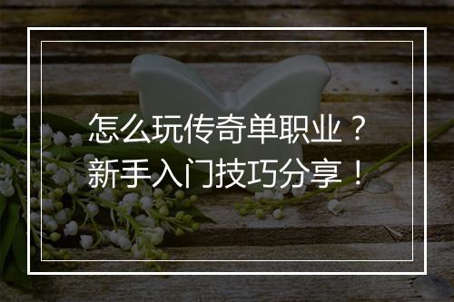怎么玩传奇单职业？新手入门技巧分享！