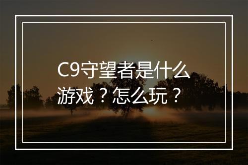 C9守望者是什么游戏？怎么玩？