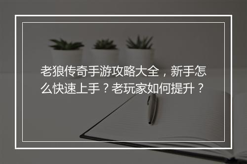 老狼传奇手游攻略大全，新手怎么快速上手？老玩家如何提升？