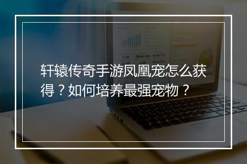 轩辕传奇手游凤凰宠怎么获得？如何培养最强宠物？