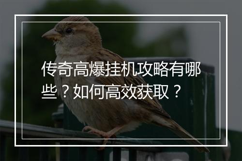 传奇高爆挂机攻略有哪些？如何高效获取？