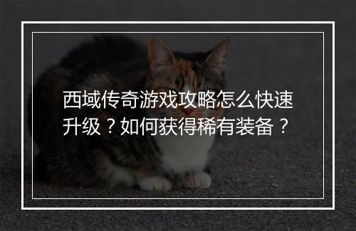 西域传奇游戏攻略怎么快速升级？如何获得稀有装备？
