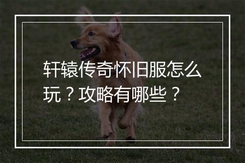 轩辕传奇怀旧服怎么玩？攻略有哪些？