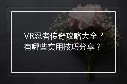 VR忍者传奇攻略大全？有哪些实用技巧分享？