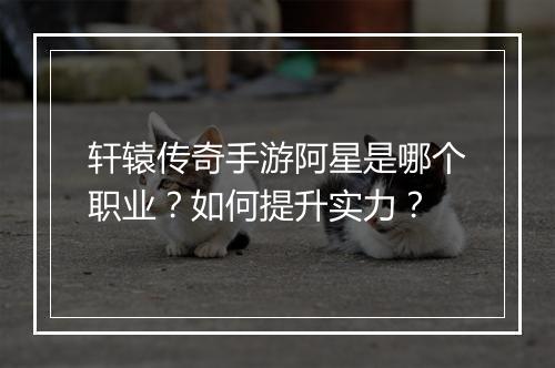 轩辕传奇手游阿星是哪个职业？如何提升实力？