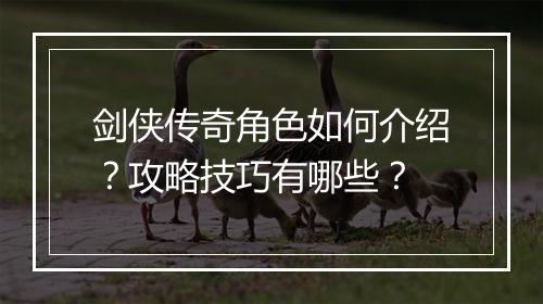 剑侠传奇角色如何介绍？攻略技巧有哪些？