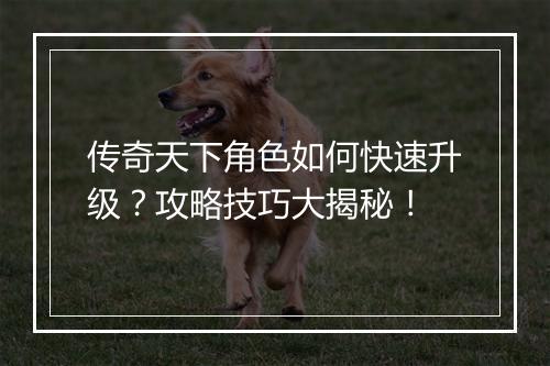 传奇天下角色如何快速升级？攻略技巧大揭秘！