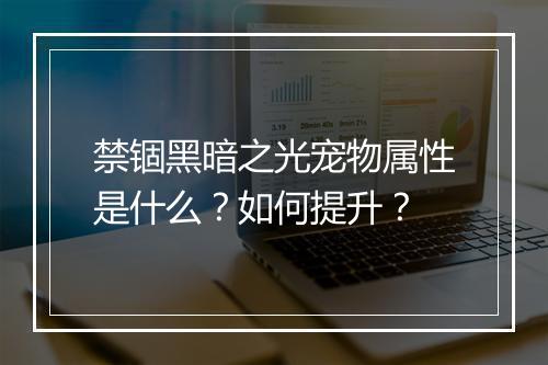 禁锢黑暗之光宠物属性是什么？如何提升？