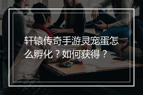 轩辕传奇手游灵宠蛋怎么孵化？如何获得？