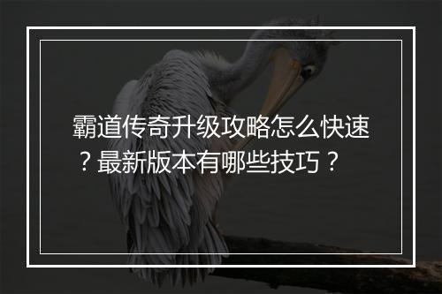 霸道传奇升级攻略怎么快速？最新版本有哪些技巧？