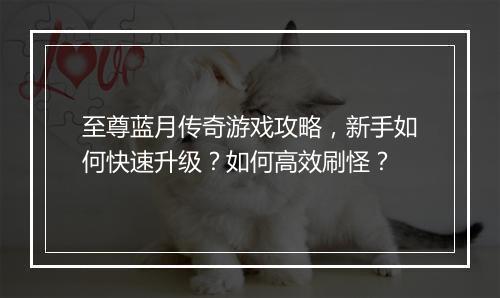 至尊蓝月传奇游戏攻略，新手如何快速升级？如何高效刷怪？