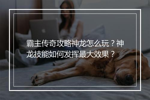 霸主传奇攻略神龙怎么玩？神龙技能如何发挥最大效果？