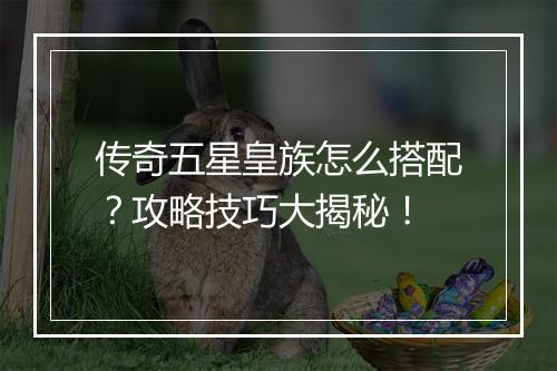 传奇五星皇族怎么搭配？攻略技巧大揭秘！