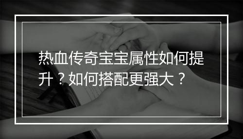 热血传奇宝宝属性如何提升？如何搭配更强大？