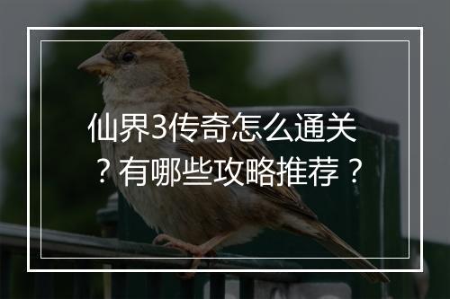 仙界3传奇怎么通关？有哪些攻略推荐？